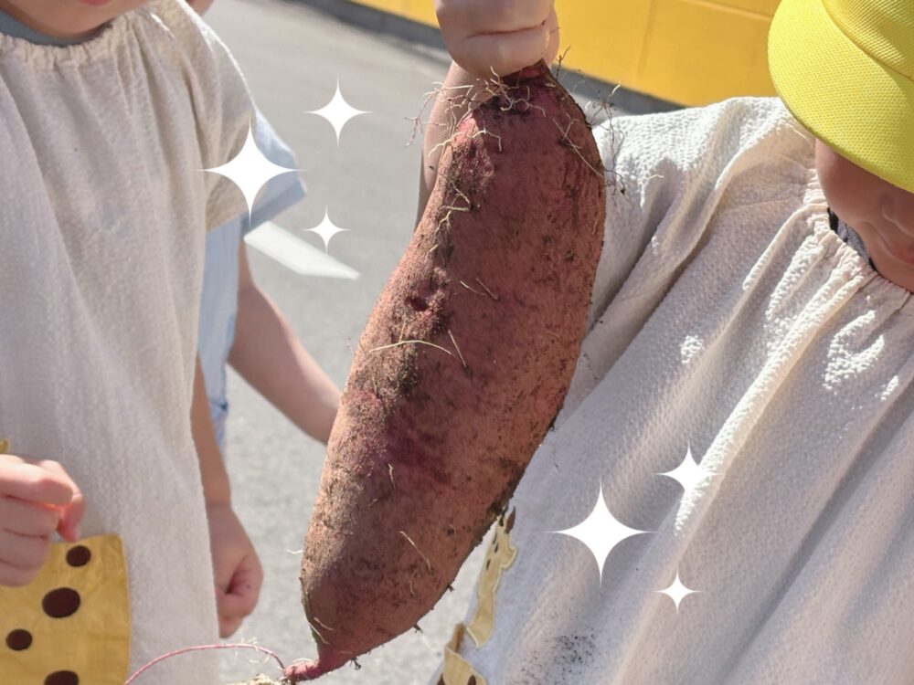 お芋ほり♪