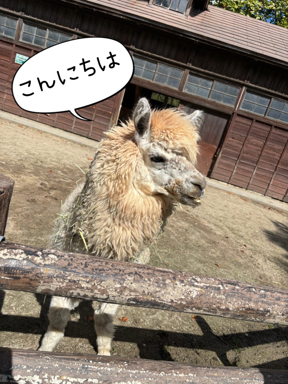 親子遠足
