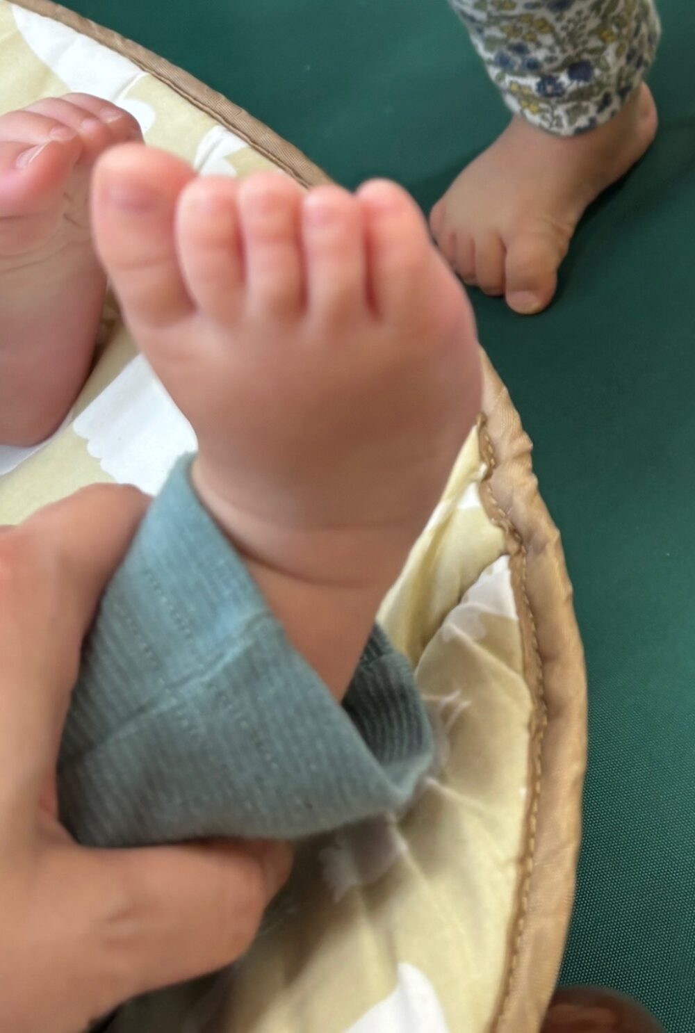 どっちが大きい？？？