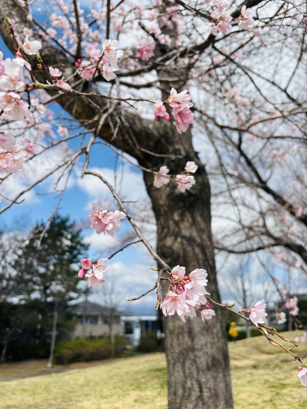 4月スタート